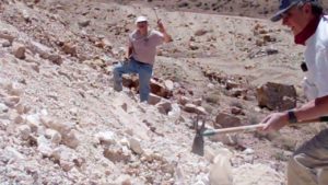  Dwight "Picking" through Royston Turquoise tailings is about us